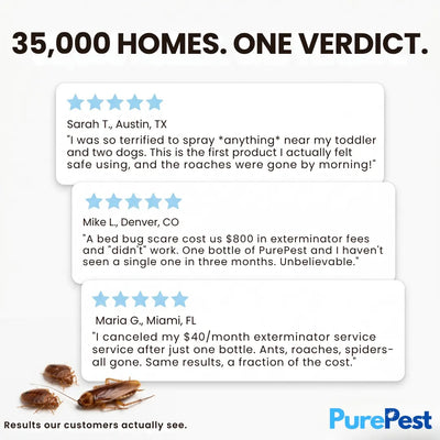 PurePest™ Complete Pest Control Concentrate Pack of 3