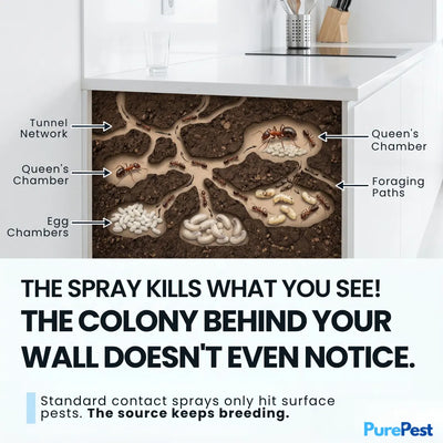 PurePest™ Complete Pest Control Concentrate Pack of 3