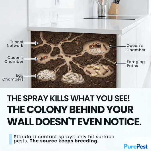 PurePest™ Complete Pest Control Concentrate Pack of 3