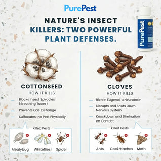 PurePest™ Complete Pest Control Concentrate