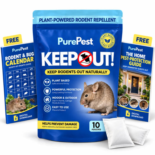 KeepOut™